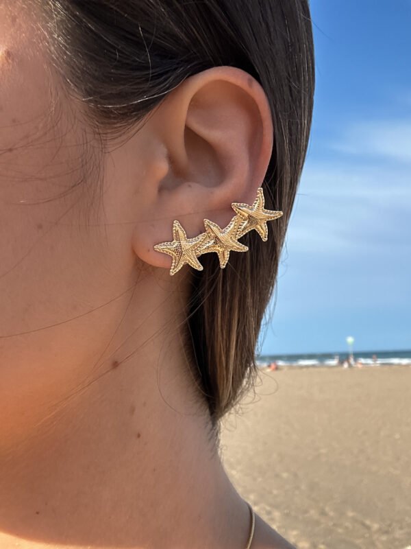 Pendientes Asterias