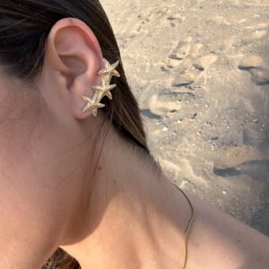 Pendientes Asterias