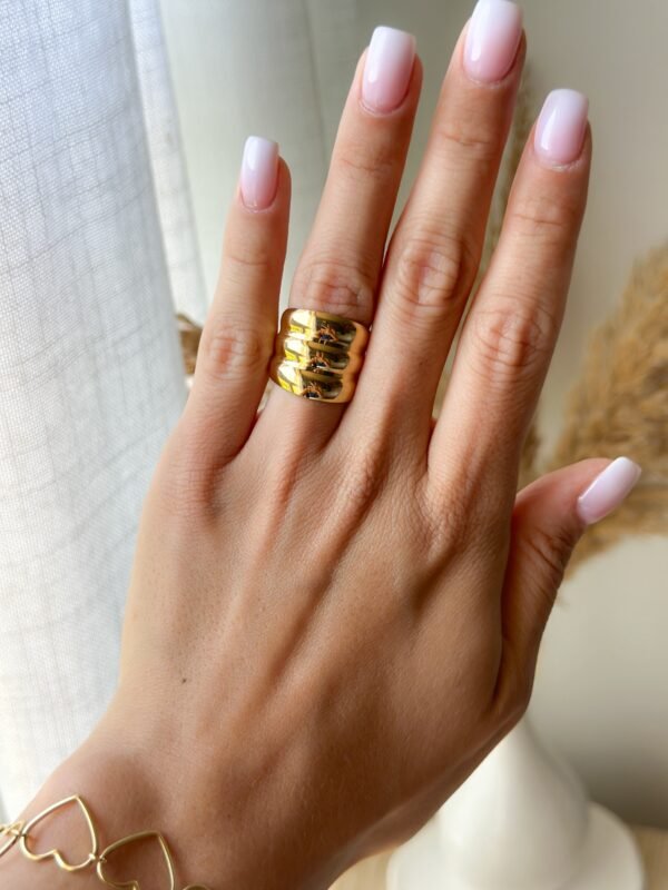 Anillo Julia - Imagen 2