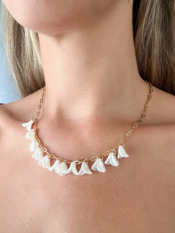 Collar Coraza - Imagen 4