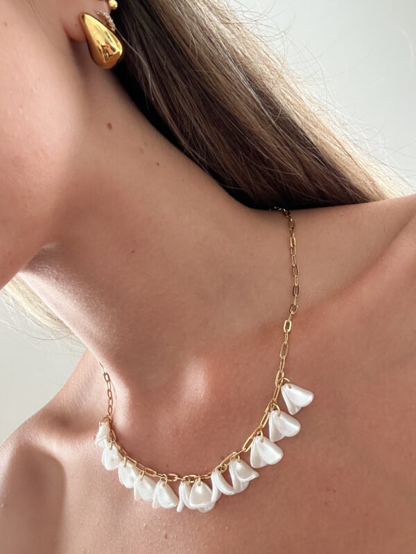Collar Coraza - Imagen 3