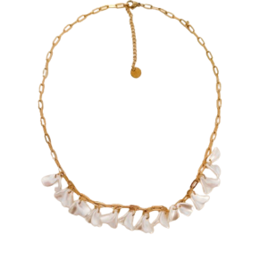 Collar Coraza