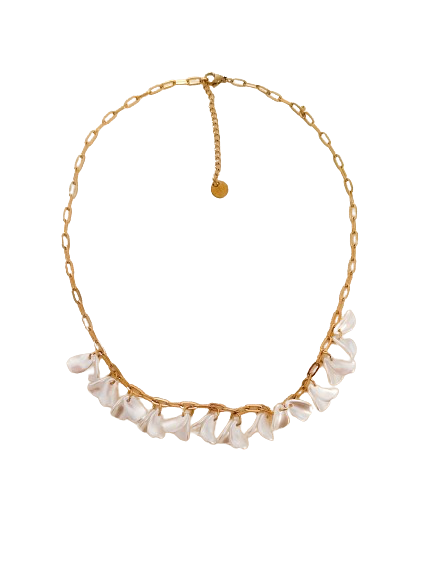 Collar Coraza