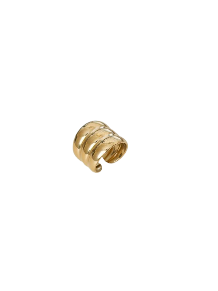Anillo Julia