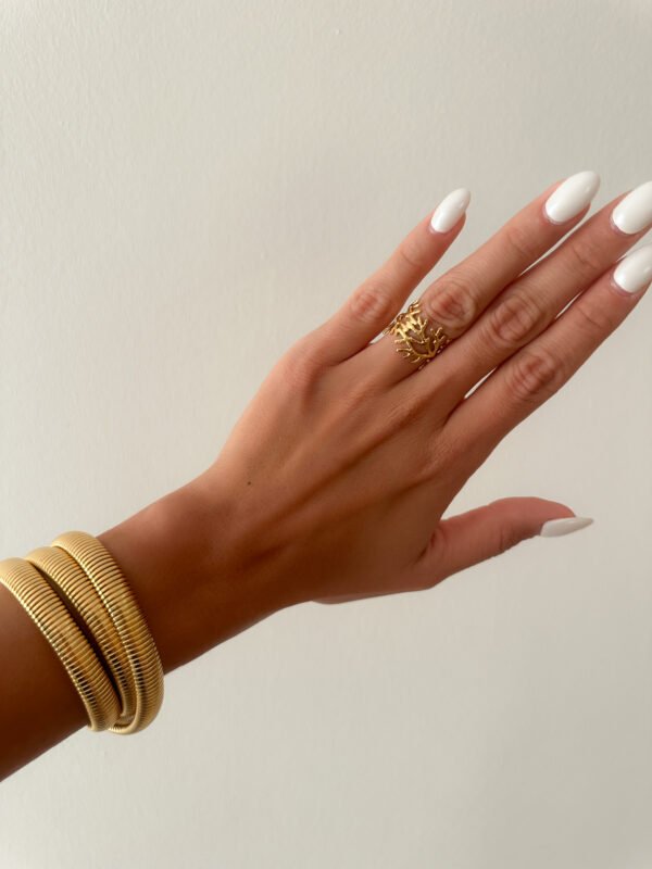 Anillo Runa - Imagen 3
