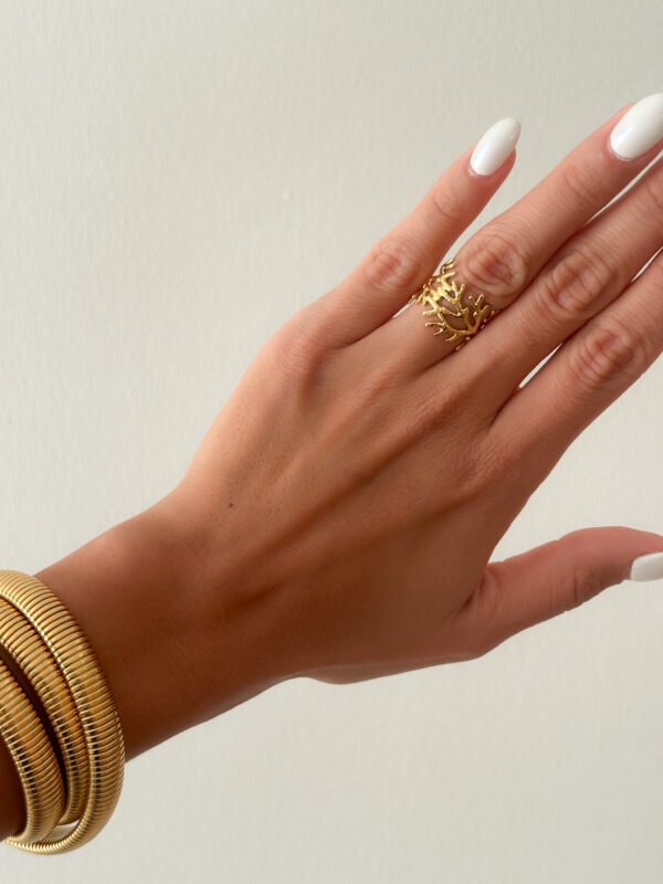 Anillo Runa - Imagen 2