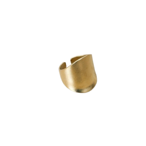 Anillo Polonia