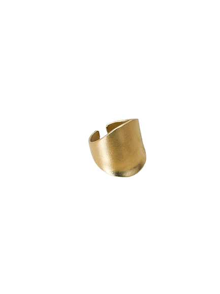 Anillo Polonia