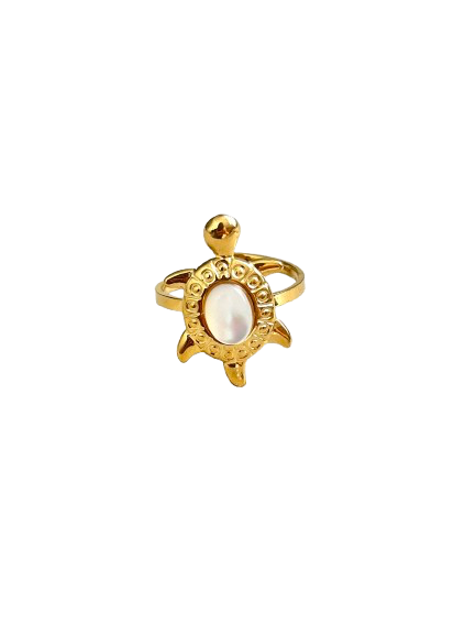 Anillo Donatello
