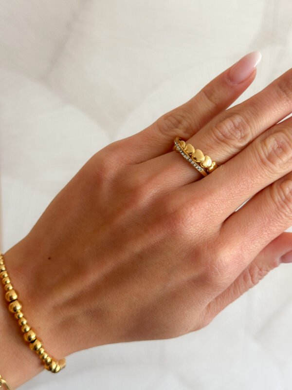 Anillo Resilencia - Imagen 3