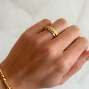Anillo Resilencia