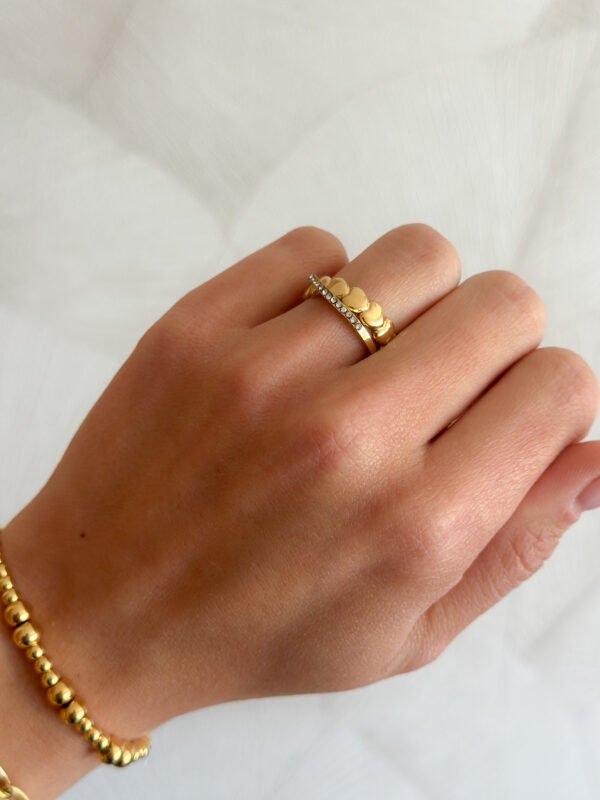 Anillo Resilencia - Imagen 2