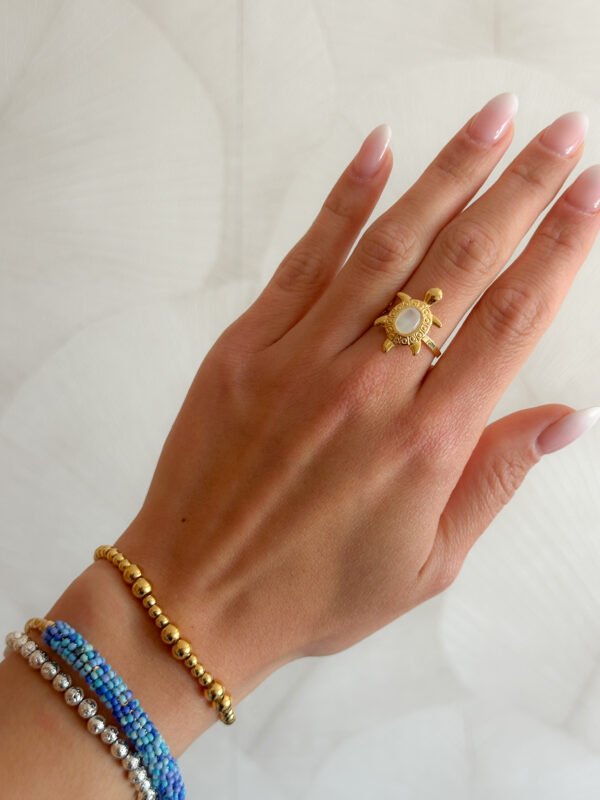 Anillo Donatello - Imagen 3