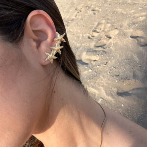 Pendientes Asterias