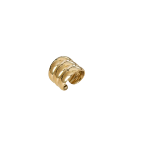 Anillo Julia