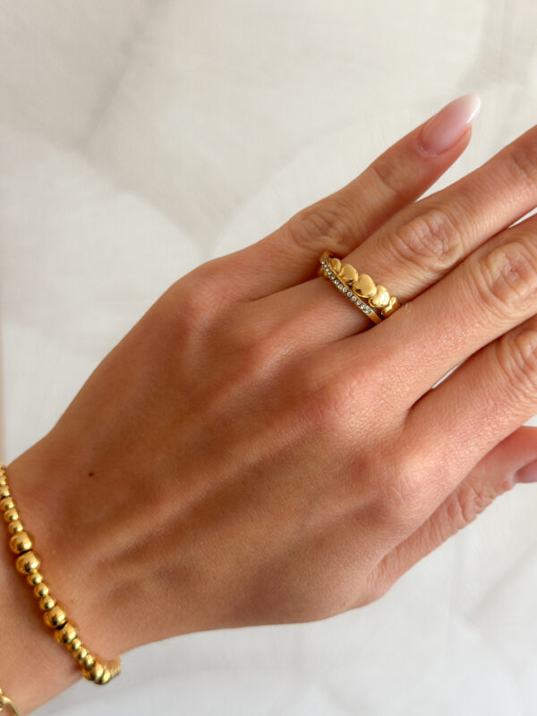 Anillo Resilencia - Imagen 3