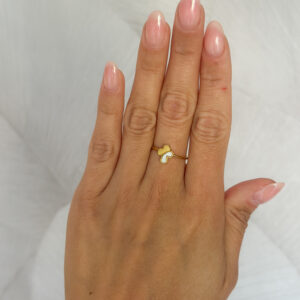Anillo cruz