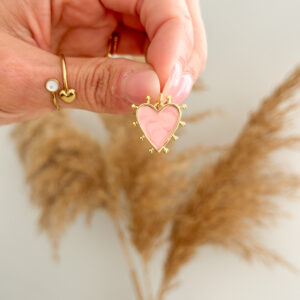 Corazon con Puyas Charm