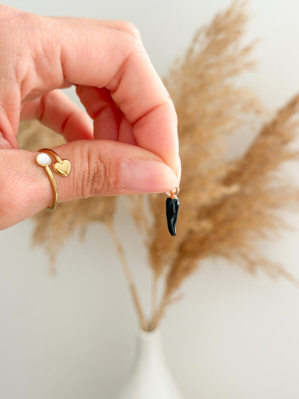 Azabache/Pimiento Charm - Imagen 3