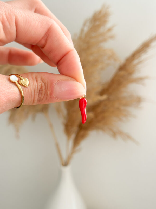 Azabache/Pimiento Charm - Imagen 2