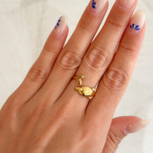 Anillo Delfín