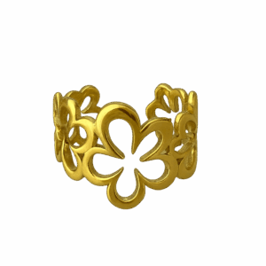 Anillo Amazonas