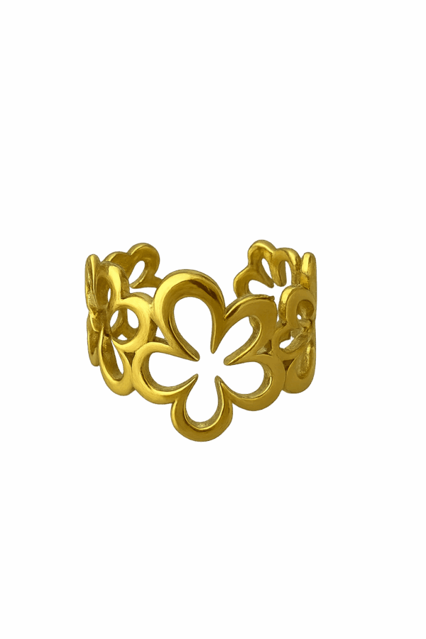 Anillo Amazonas