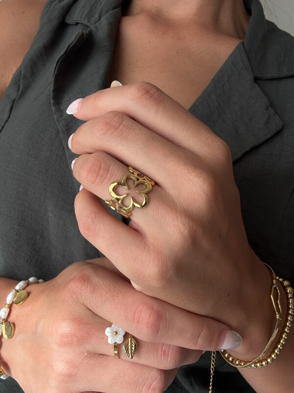 Anillo Amazonas - Imagen 3