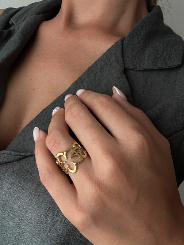 Anillo Amazonas - Imagen 2