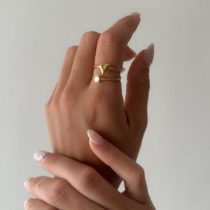 Anillo Vida