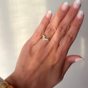 Anillo Doggy