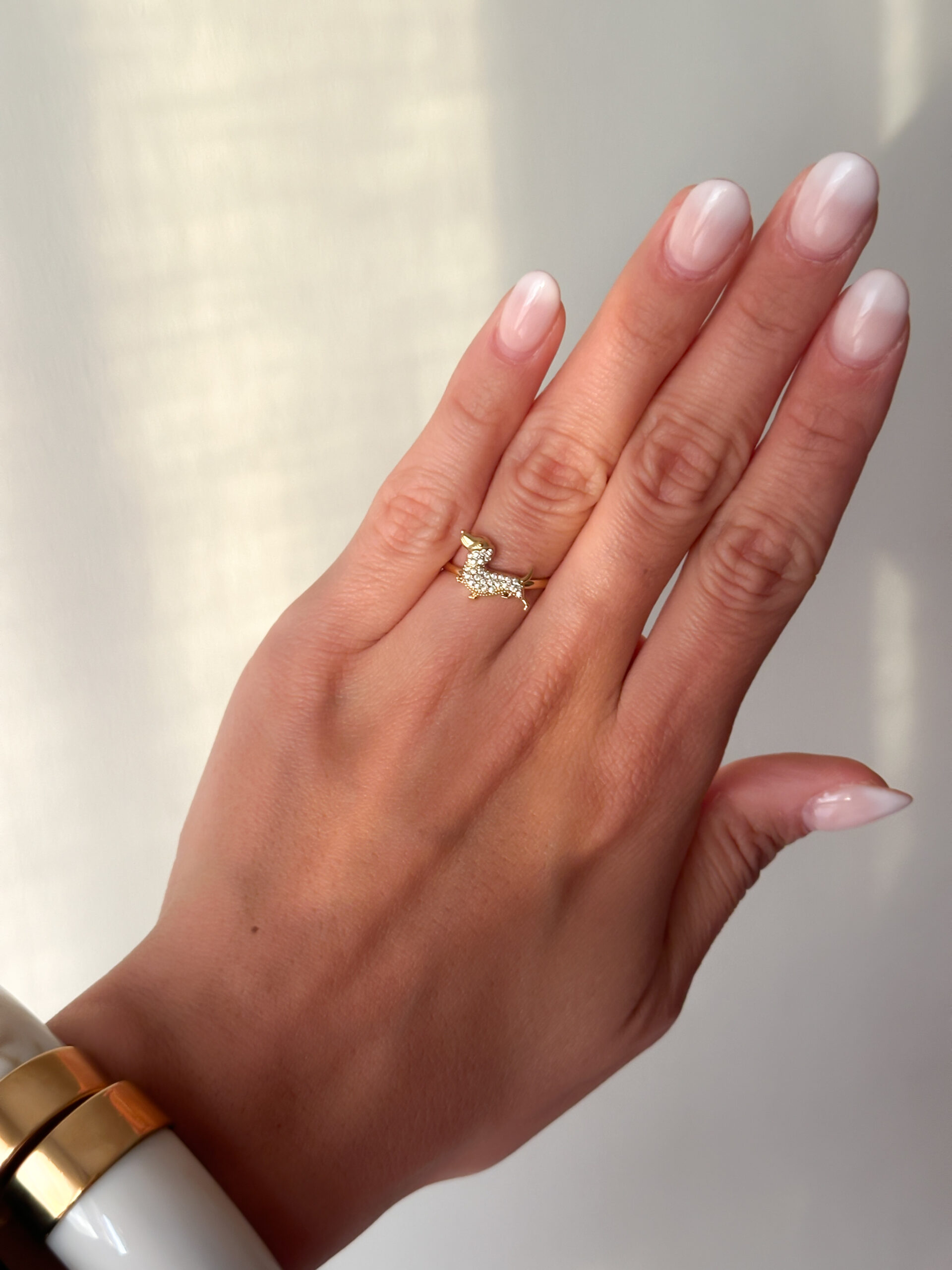 Anillo Doggy - Imagen 2