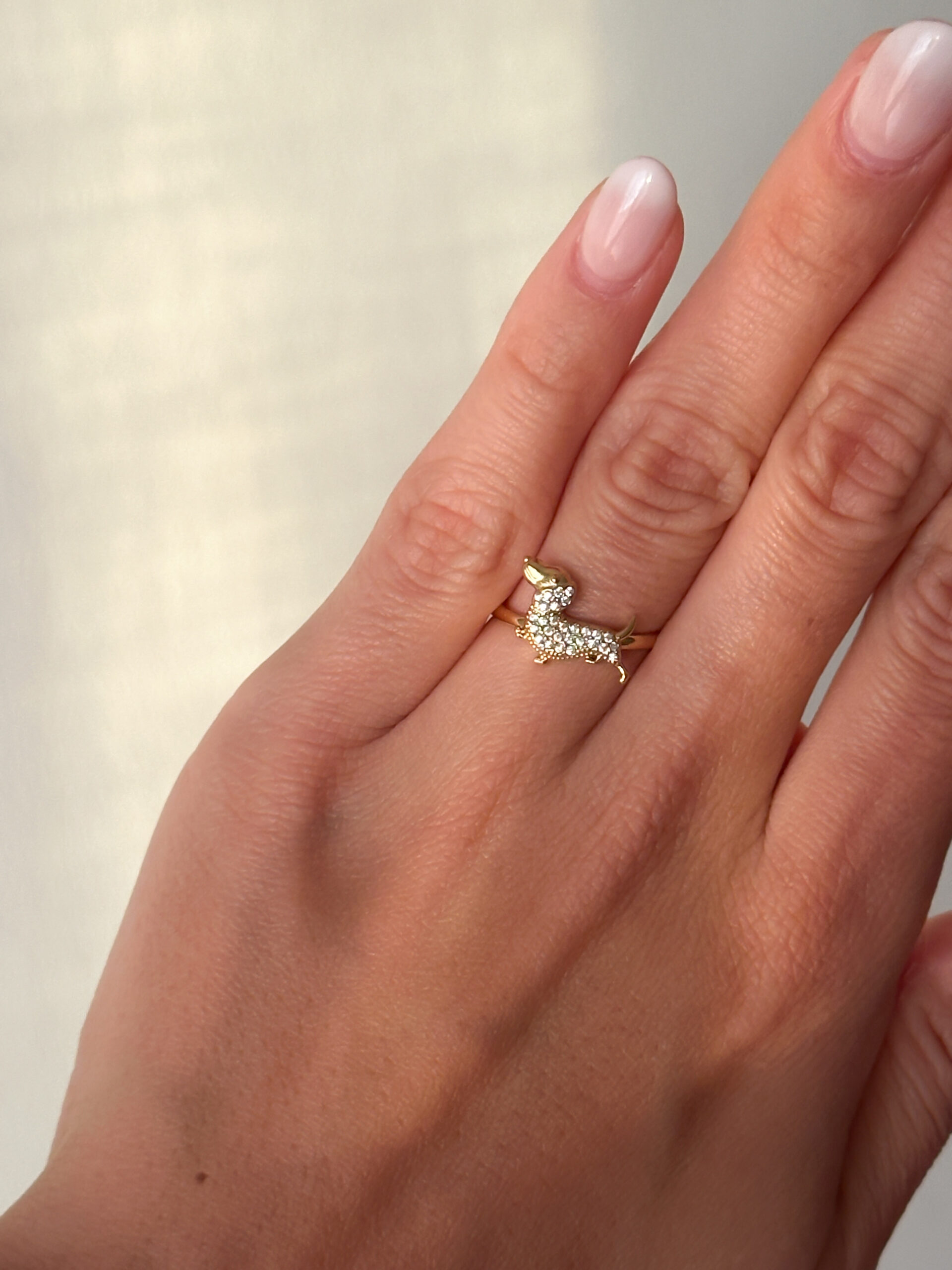 Anillo Doggy - Imagen 3