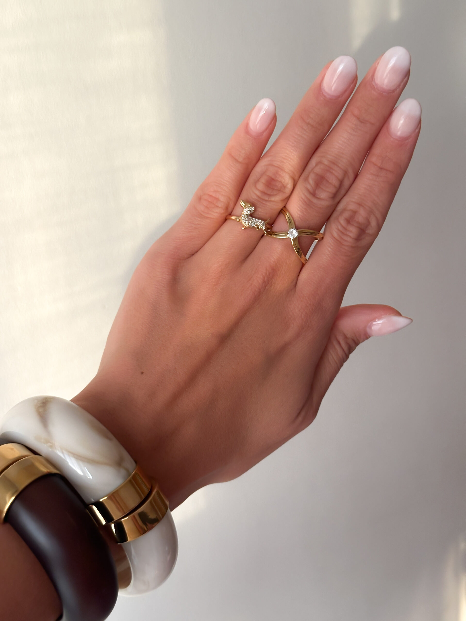 Anillo Doggy - Imagen 4