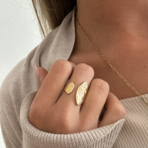 Anillo Duna