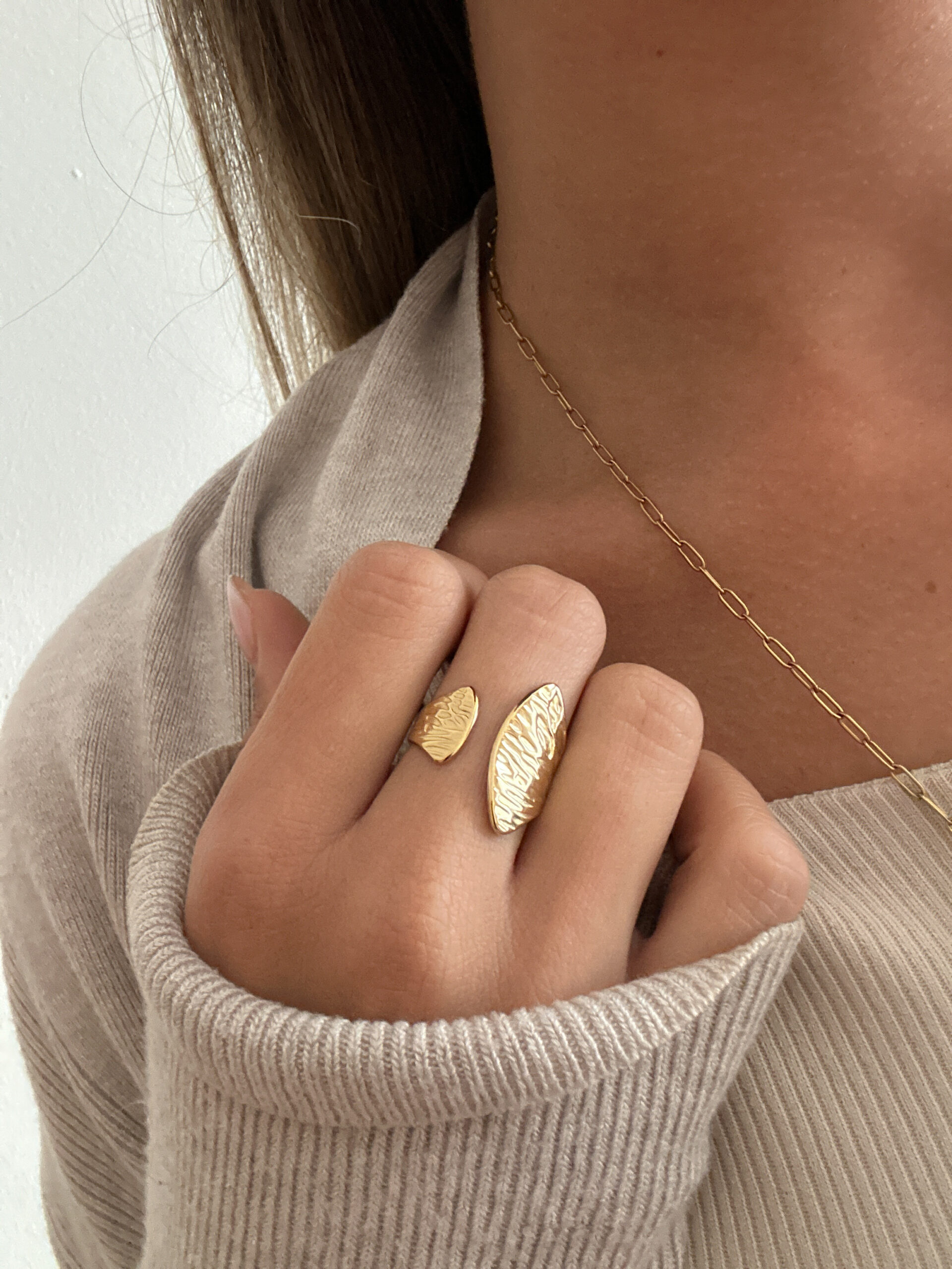 Anillo Duna - Imagen 2