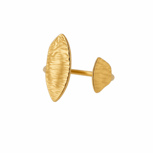 Anillo Duna