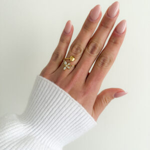 Anillo Mariposa Corazón