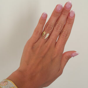 Anillo Alas