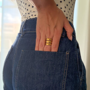Anillo Índice