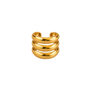 Anillo Índice