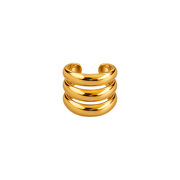 Anillo Índice
