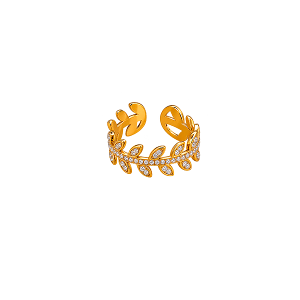 Anillo Otoño